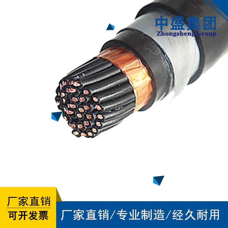鋼帶鎧裝計(jì)算機(jī)電纜DJYVP22、DJYPV22