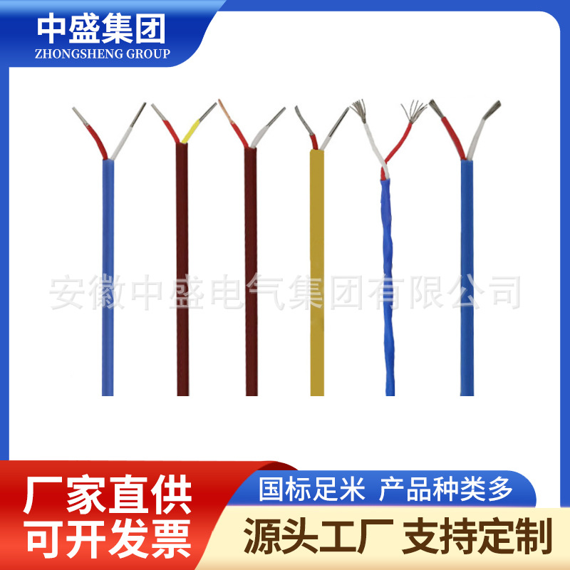 Wre5-26鎢錸熱電偶補(bǔ)償導(dǎo)線延長線鐵氟龍測溫感溫補(bǔ)償導(dǎo)線