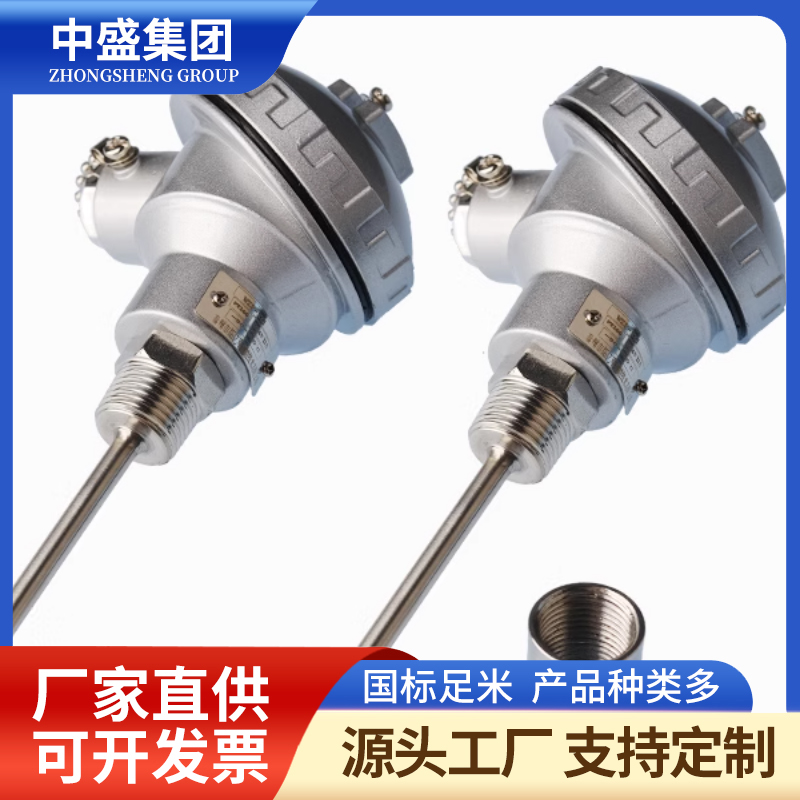 扁接插式鎧裝熱電偶WRPK-171
