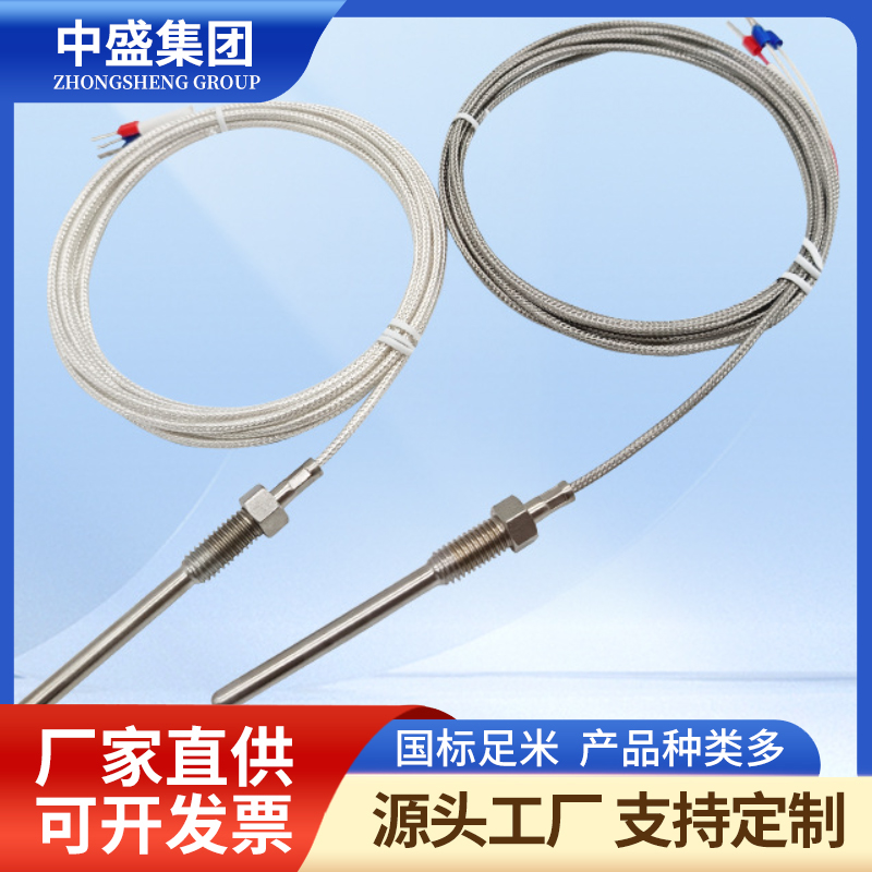補償導(dǎo)線式鎧裝熱電偶WRFK-291