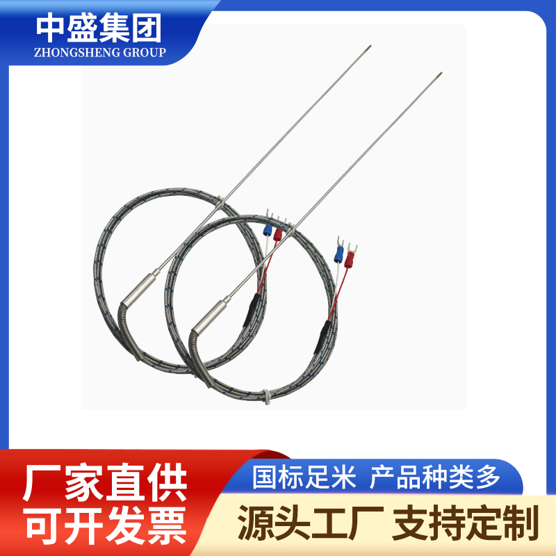 補償導(dǎo)線式鎧裝熱電偶WRNK-491
