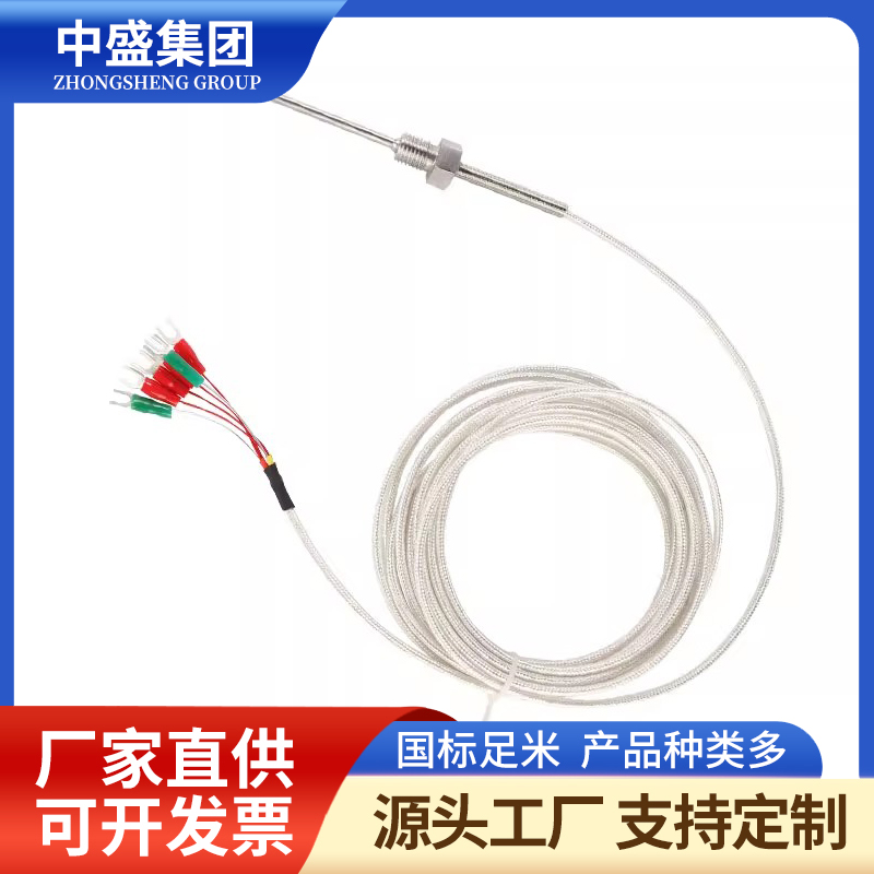 補償導(dǎo)線式鎧裝熱電偶WRNK-591
