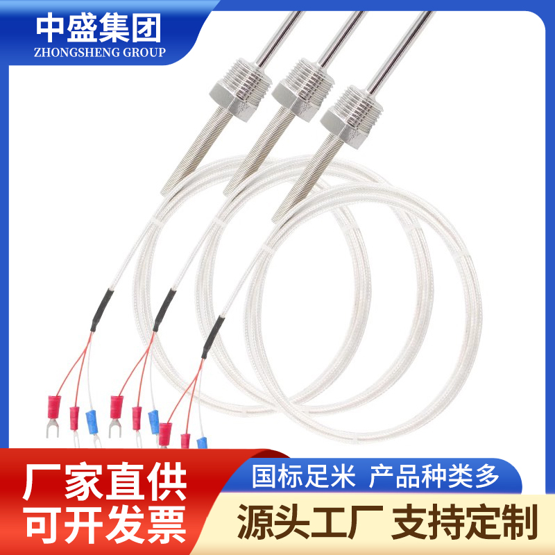 補償導(dǎo)線式鎧裝熱電偶WRCK-591